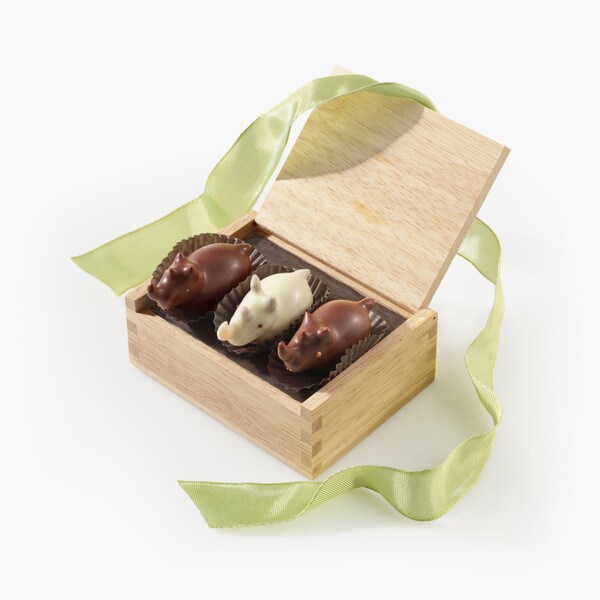 Thumbnail image for Chocolate Rhinos